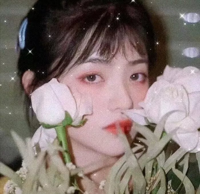 艺伎回忆录海报