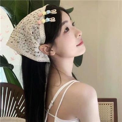极地先锋封面