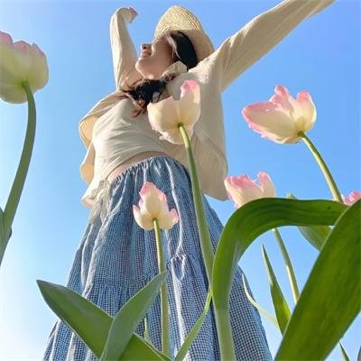 芝加哥烈焰第十三季封面